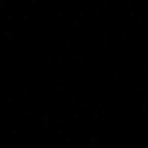 Meet your Posher, Izzy